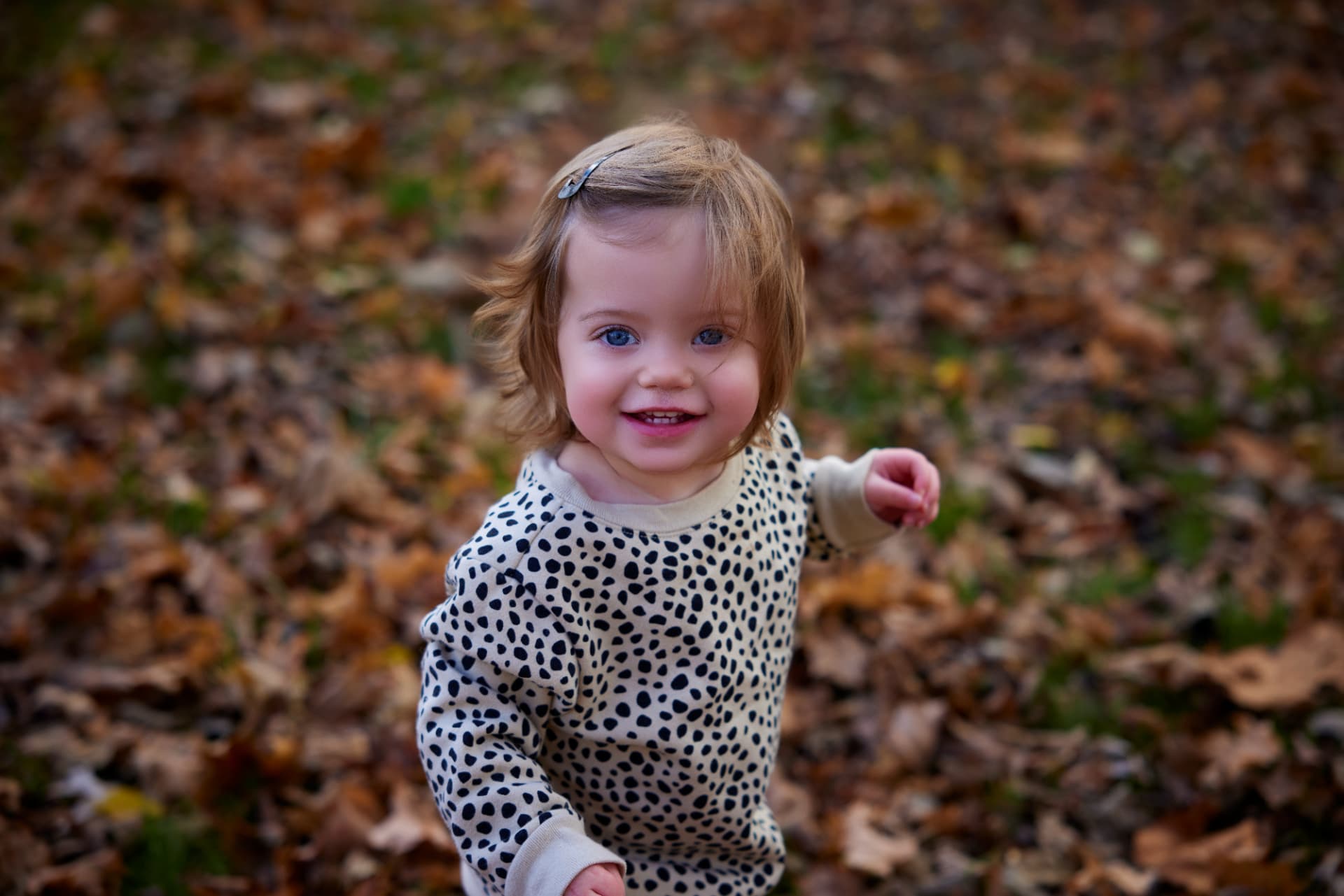 Joyful toddler portrait in autumn leaves by Just Because Photography Studio, Mattoon, IL